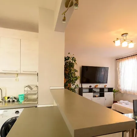 Yanevi * 로제넷츠