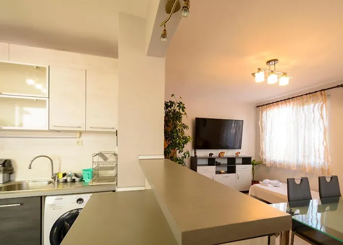 Yanevi * 로제넷츠